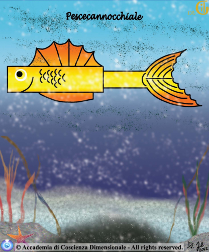Oceano Incantato - Pescecanocchiale